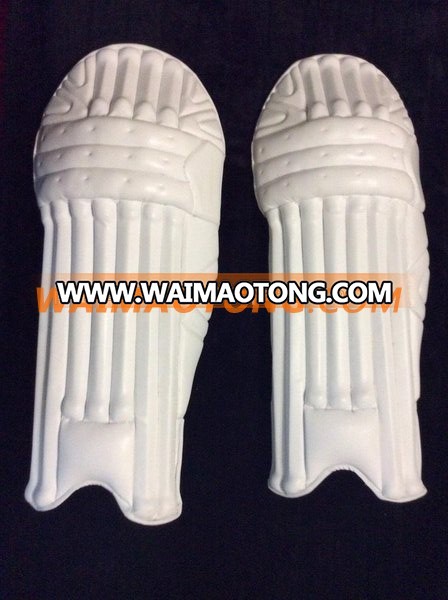 Hard Ball Cricket Pads and Gloves