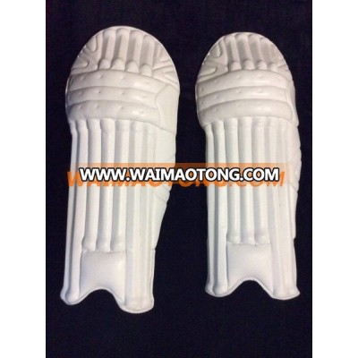 Hard Ball Cricket Pads and Gloves